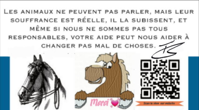 Photo d'illustration 2 sur 6