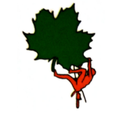 Photo d'illustration 2 sur 8
