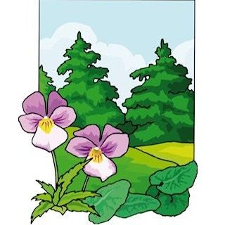 Photo d'illustration 1 sur 4