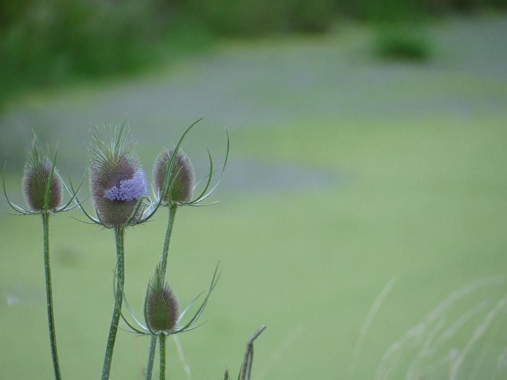 Photo d'illustration 2 sur 2
