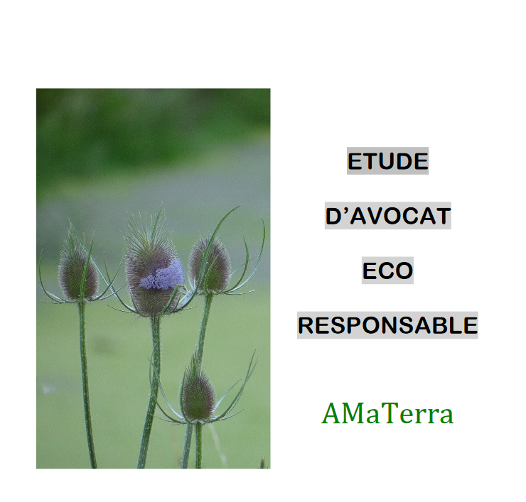 Photo d'illustration 1 sur 2