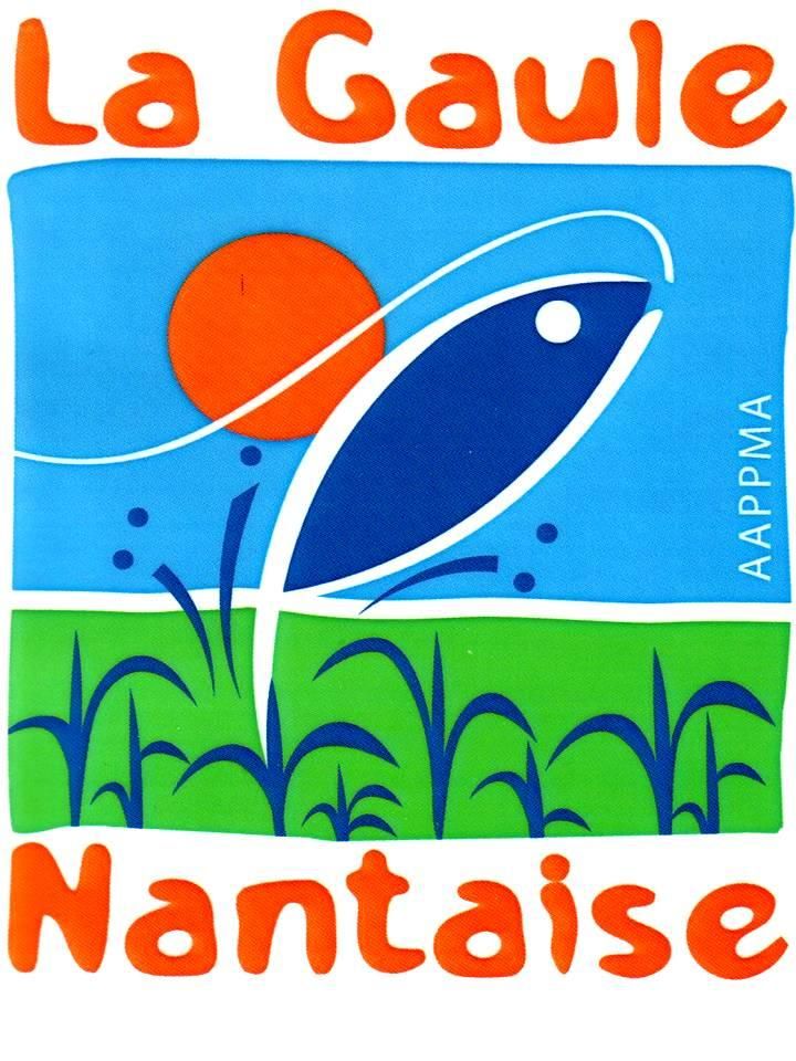 Photo d'illustration 1 sur 1