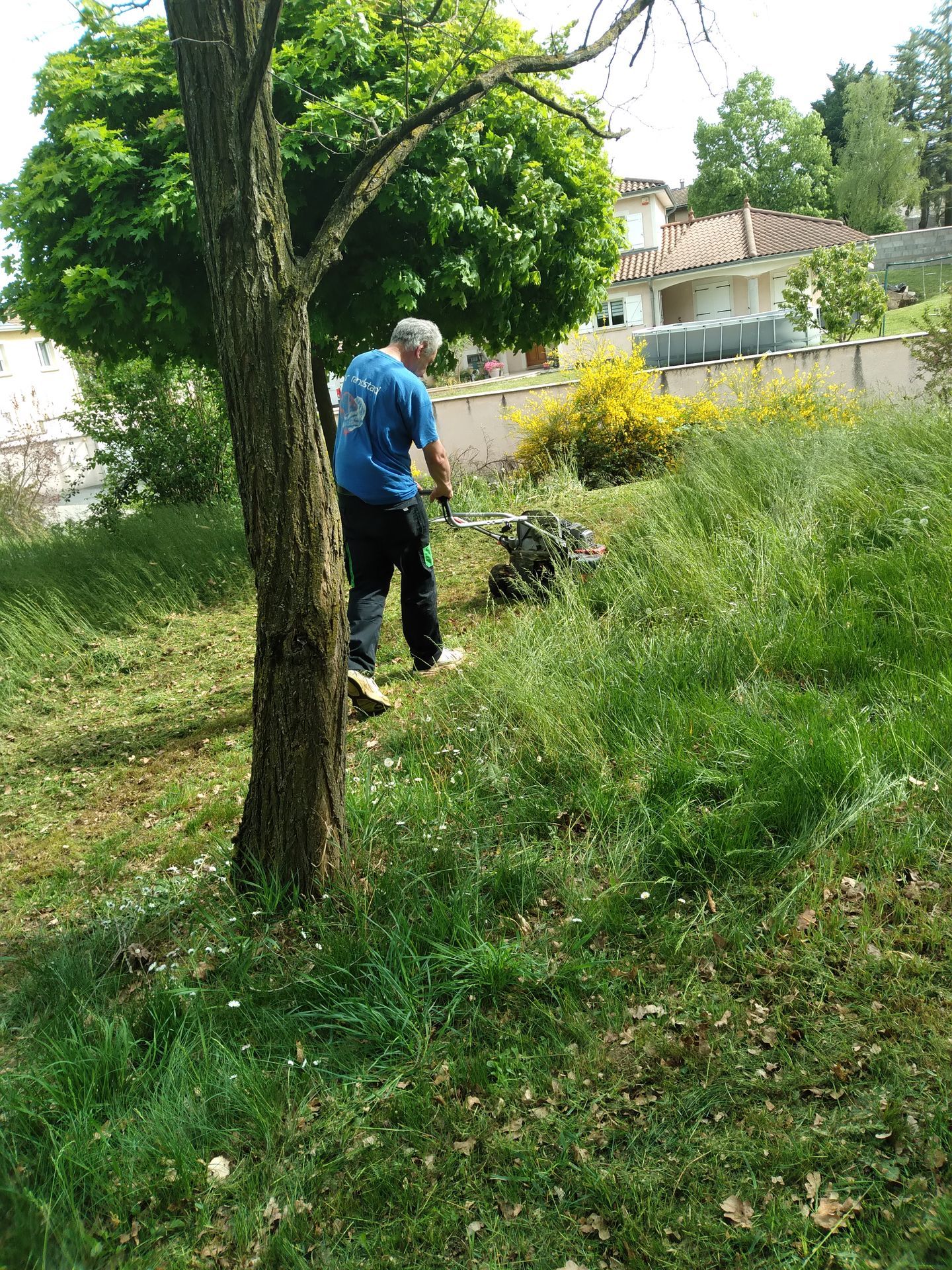 Photo d'illustration 3 sur 19