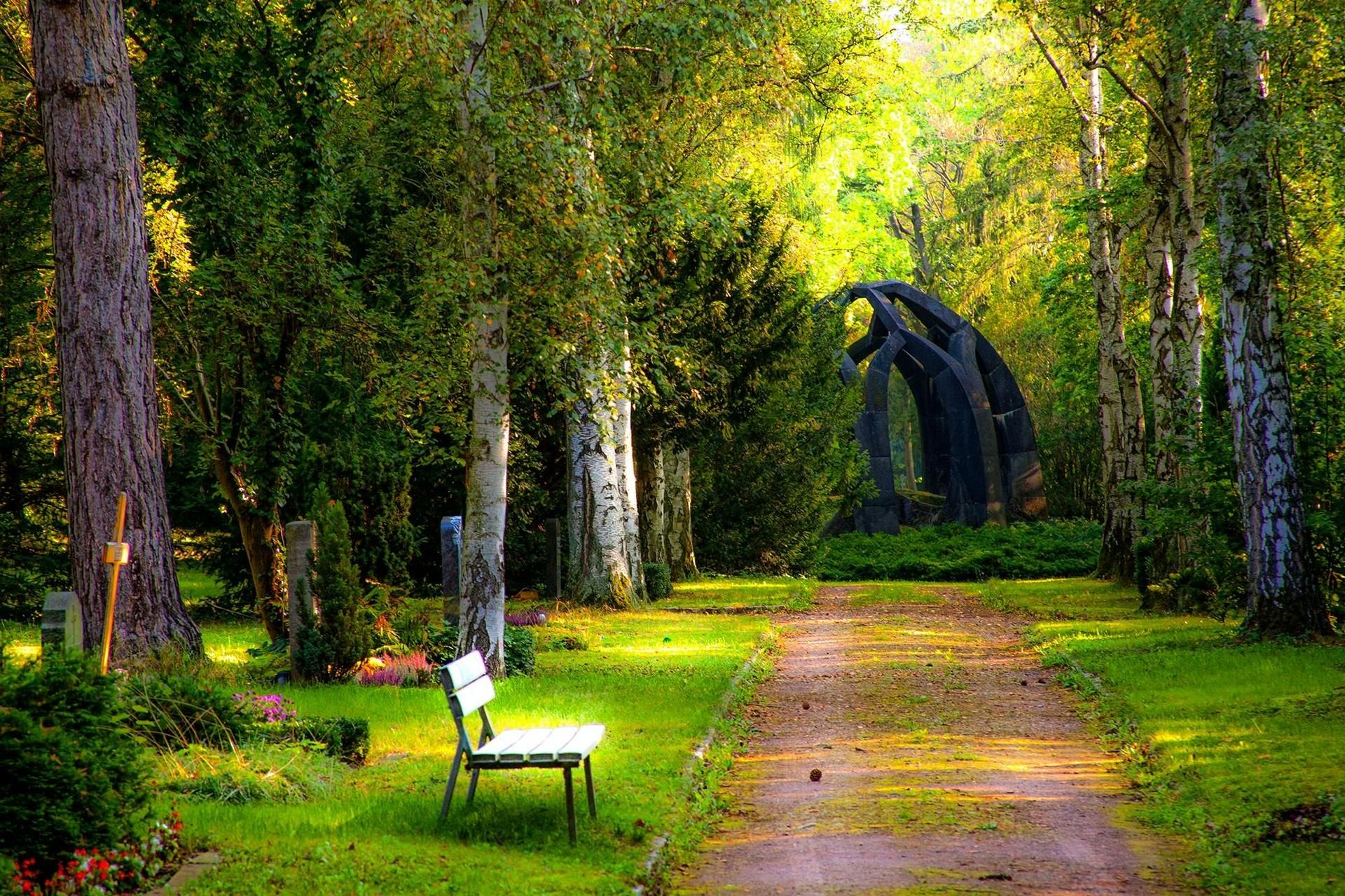 Photo d'illustration 2 sur 8
