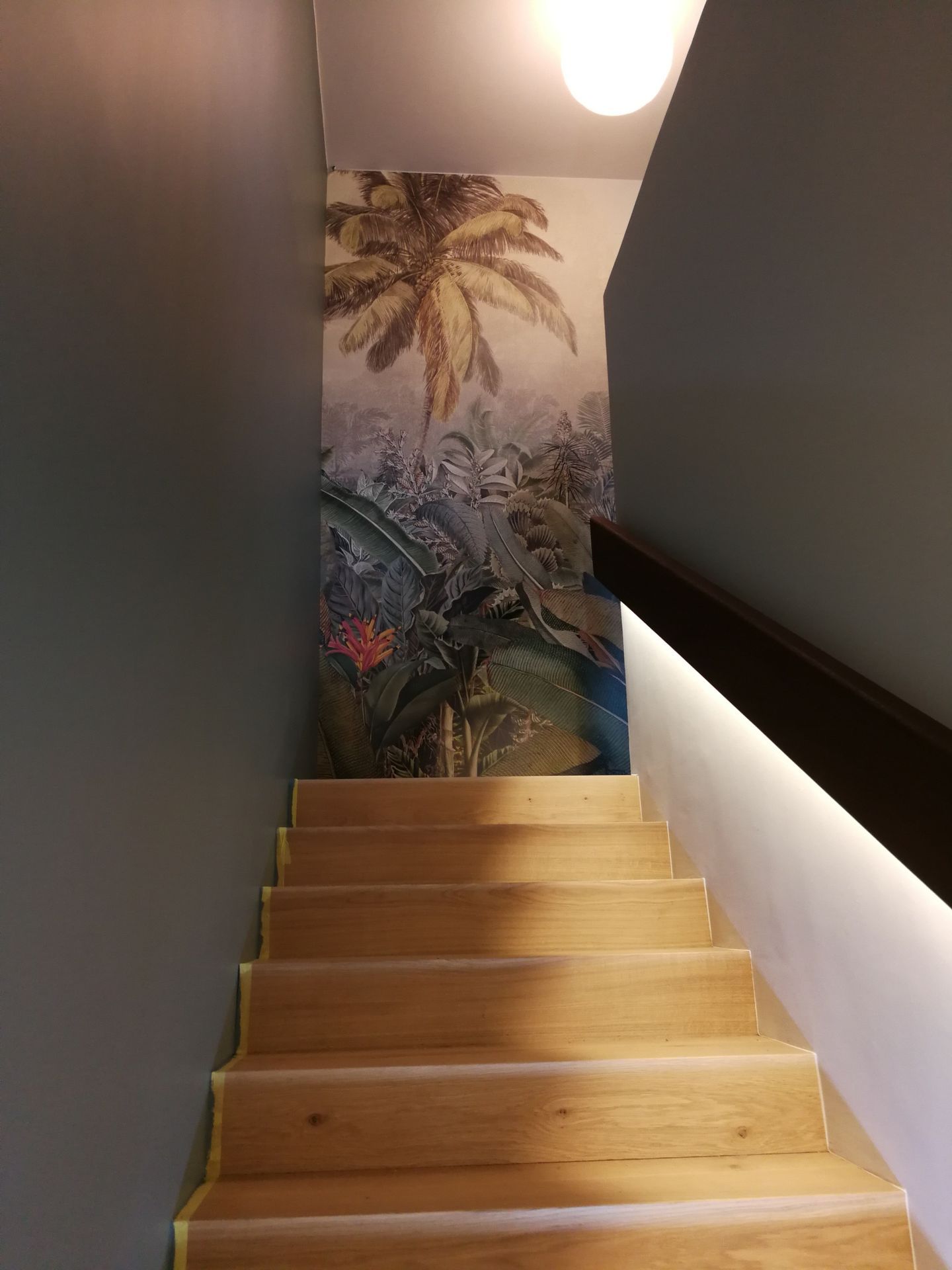 Photo d'illustration 4 sur 18