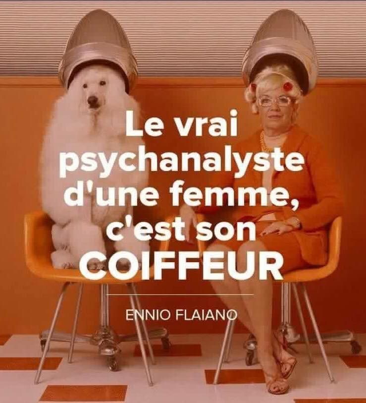 Photo d'illustration 2 sur 11