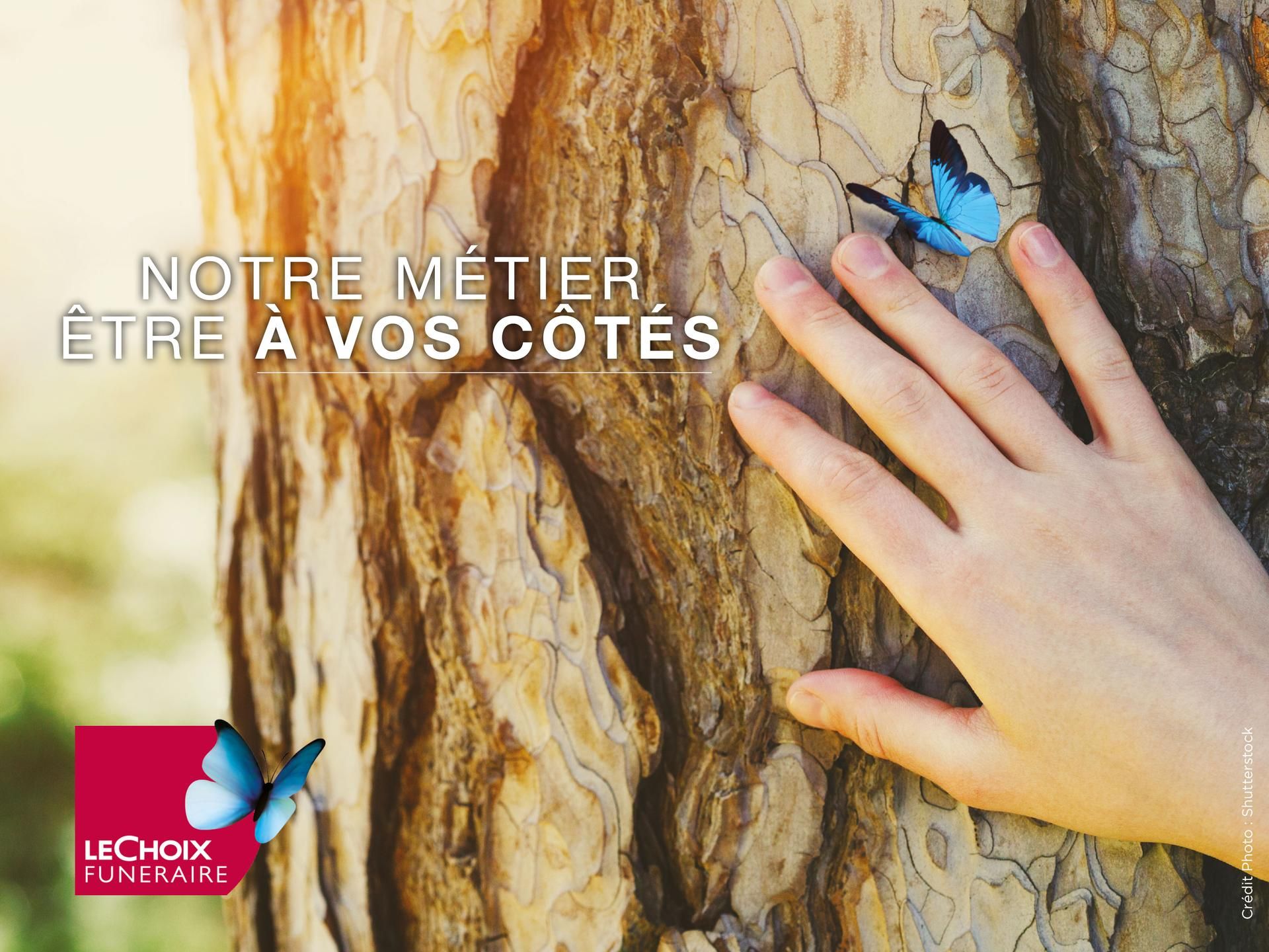 Photo d'illustration 3 sur 13