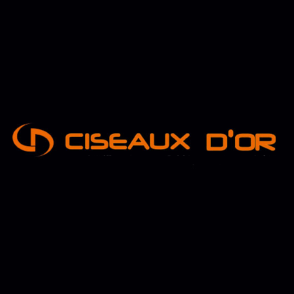 Photo d'illustration 1 sur 1