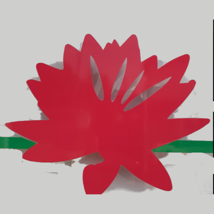 Photo d'illustration 1 sur 4