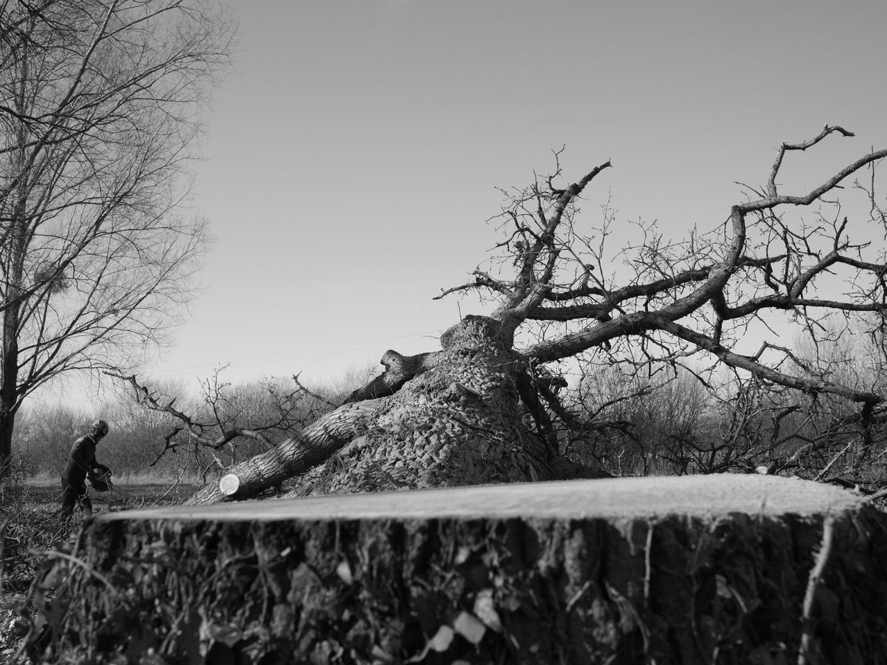 Photo d'illustration 4 sur 14