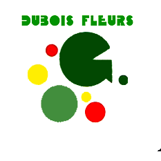 Photo d'illustration 1 sur 14