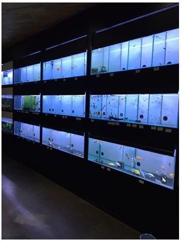 Photo d'illustration 1 sur 14