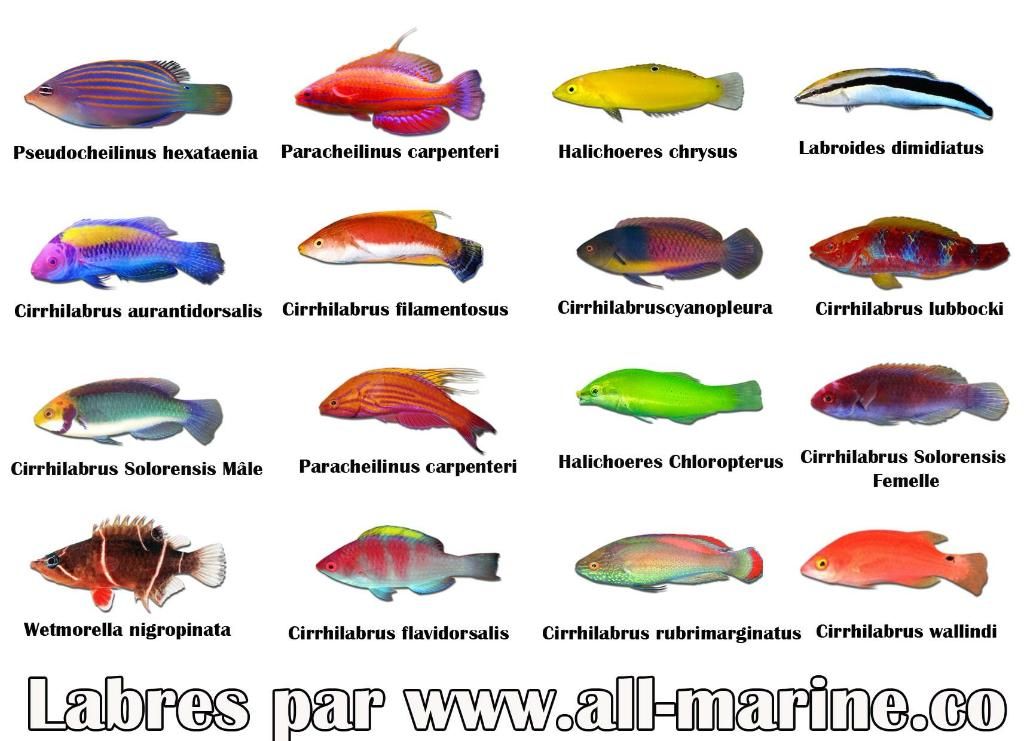 Photo d'illustration 3 sur 7