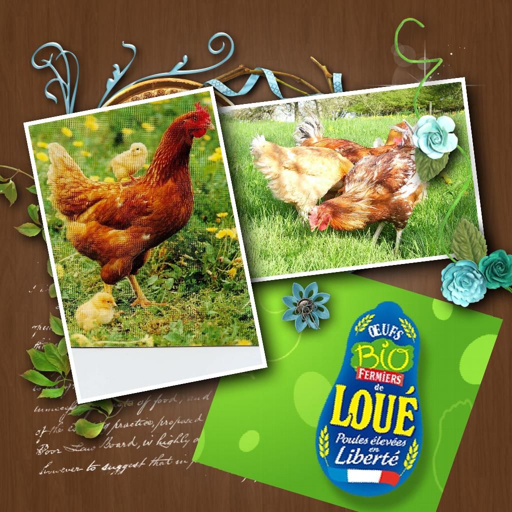 Photo d'illustration 3 sur 5