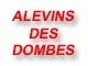 Photo d'illustration 1 sur 2