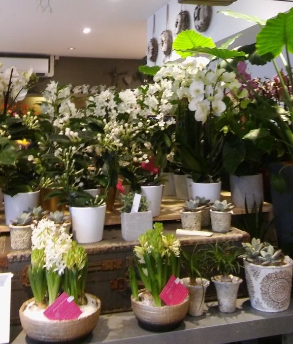 Sitemapcdatahttpsshopinf Inetcomfleuriste Ouvert Le Dimanche