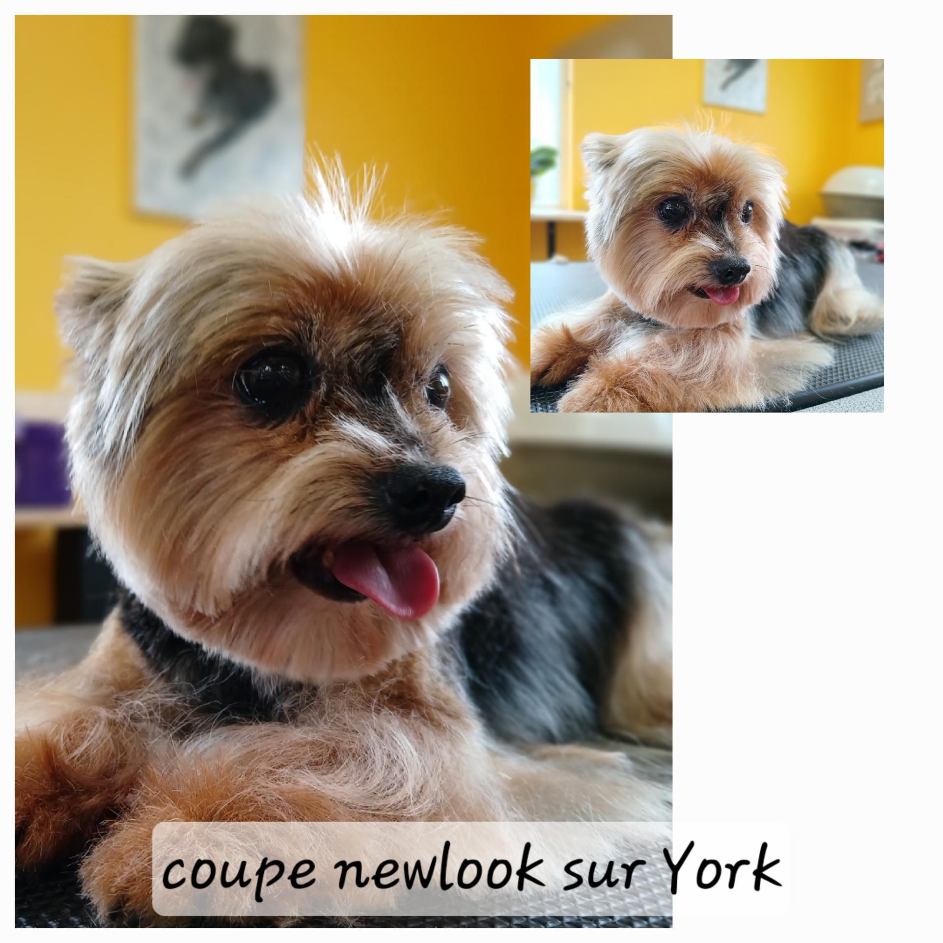 Photo d'illustration 4 sur 52