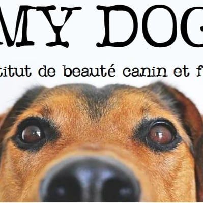 Photo d'illustration 1 sur 12