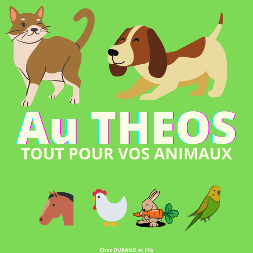 Photo d'illustration 2 sur 9