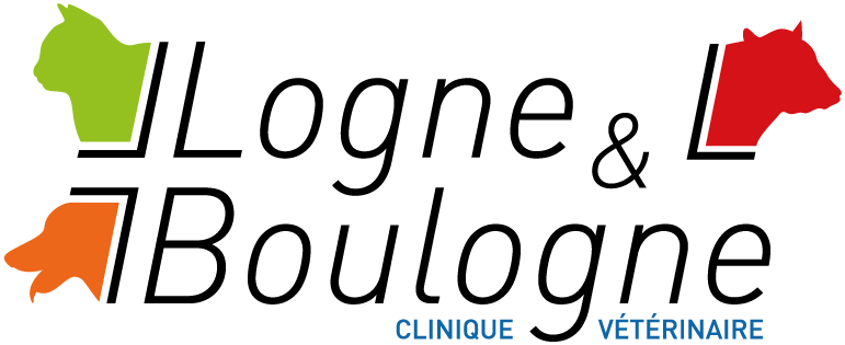 Photo d'illustration 1 sur 4