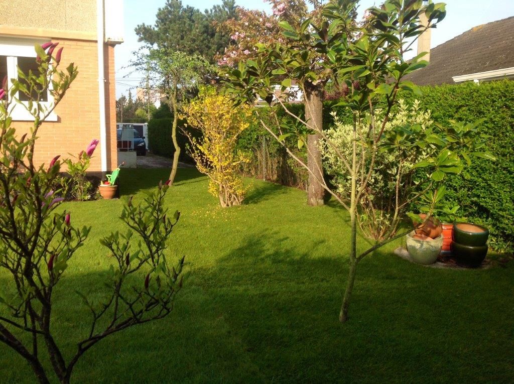 Photo d'illustration 3 sur 4