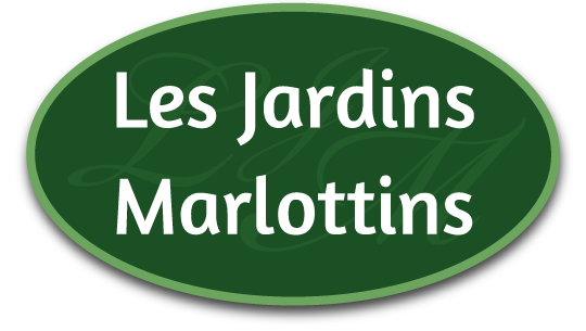 Photo d'illustration 4 sur 4
