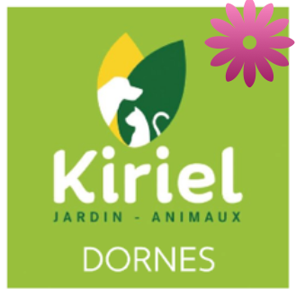 Photo d'illustration 1 sur 4