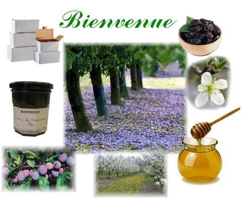 Photo d'illustration 4 sur 4