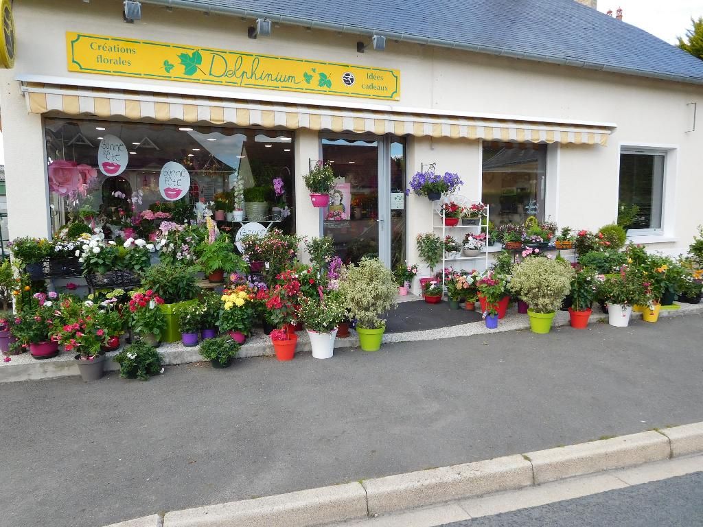 Photo d'illustration 1 sur 6