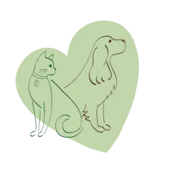 Photo d'illustration 1 sur 4