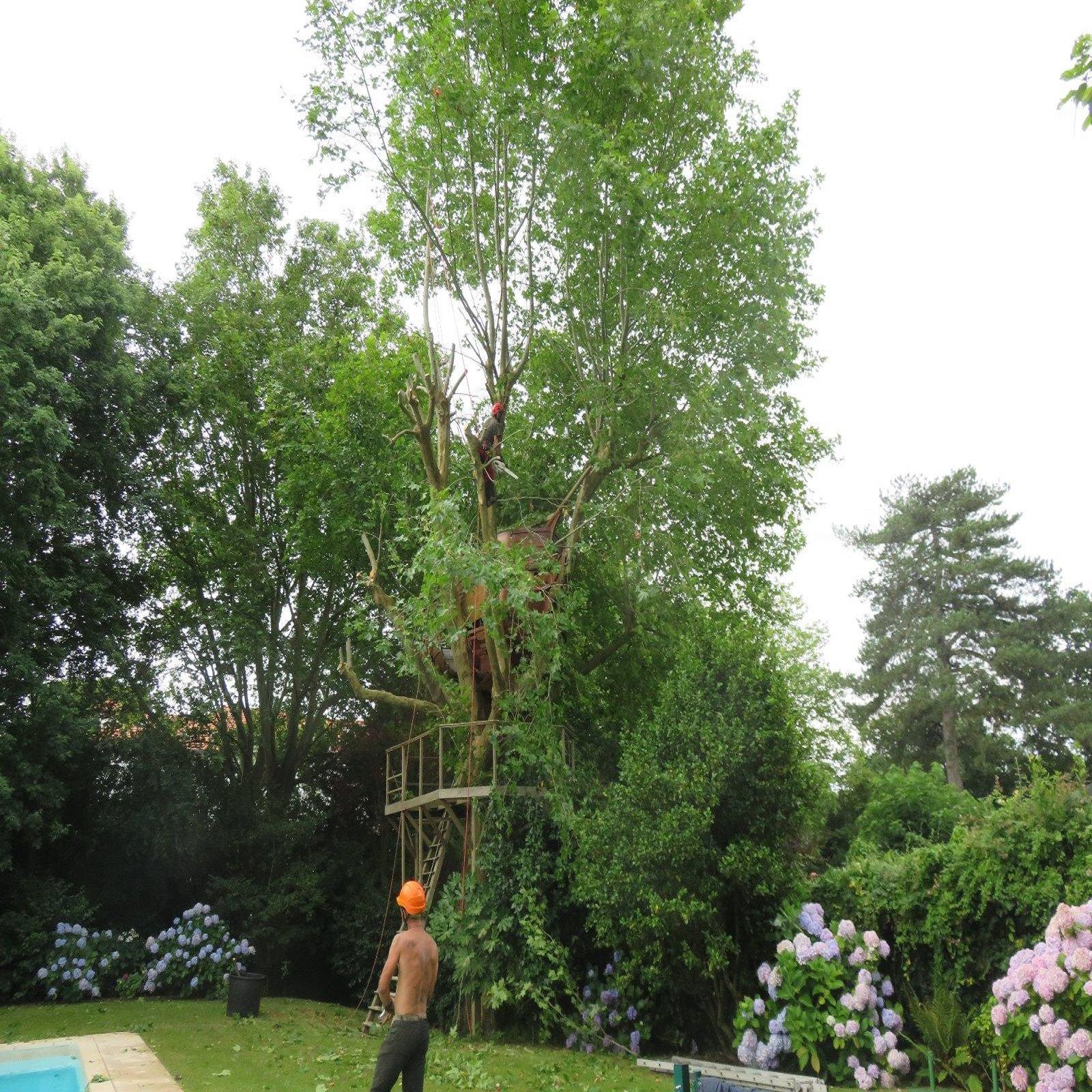 Photo d'illustration 3 sur 4