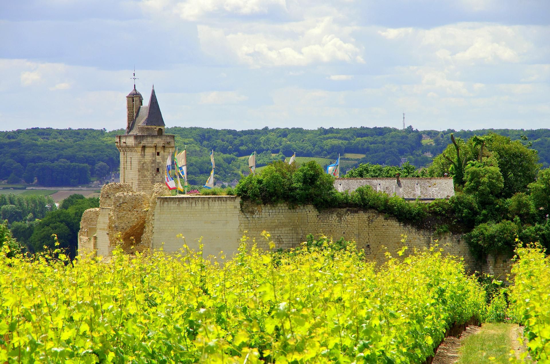 Photo d'illustration 4 sur 4