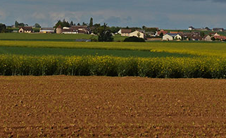 Photo d'illustration 3 sur 3
