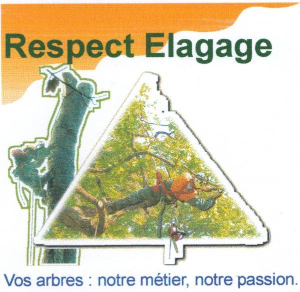 Photo d'illustration 1 sur 6