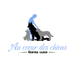 Photo d'illustration 4 sur 20