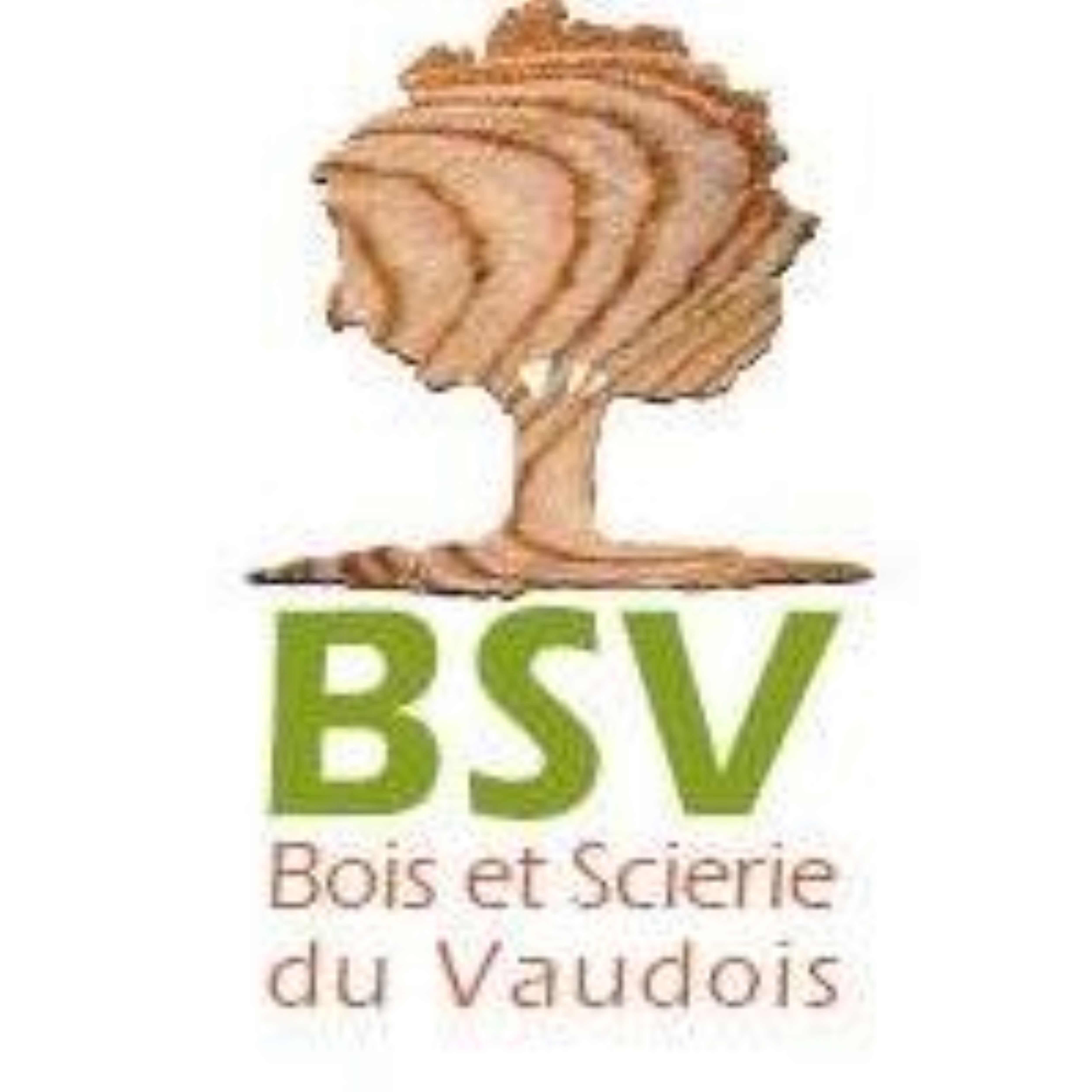 Photo d'illustration 2 sur 3