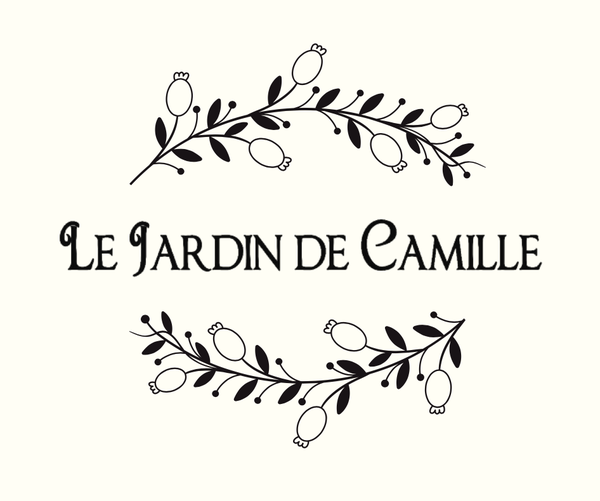 Photo d'illustration 1 sur 41