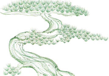Photo d'illustration 1 sur 1