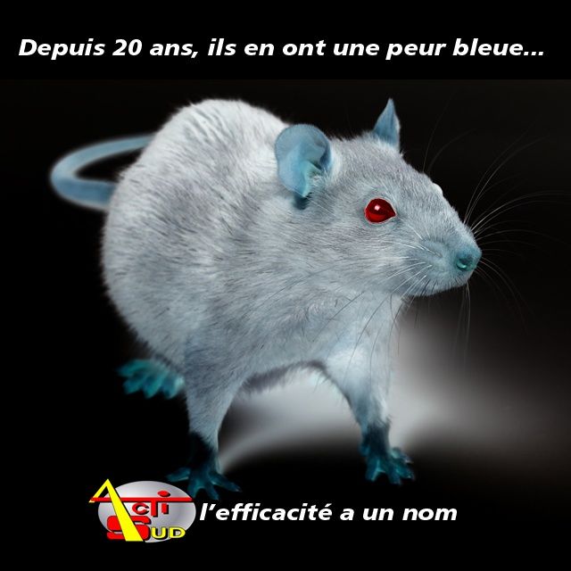 Photo d'illustration 2 sur 16