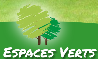 Photo d'illustration 1 sur 4