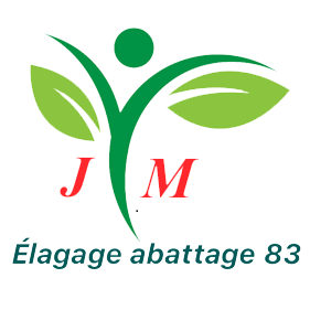 Photo d'illustration 1 sur 2