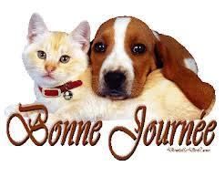 Photo d'illustration 4 sur 17