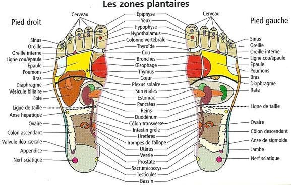 Photo d'illustration 1 sur 2