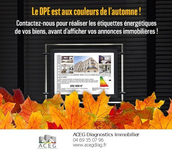 Photo d'illustration 2 sur 55