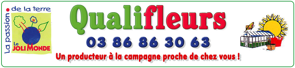 Photo d'illustration 1 sur 3