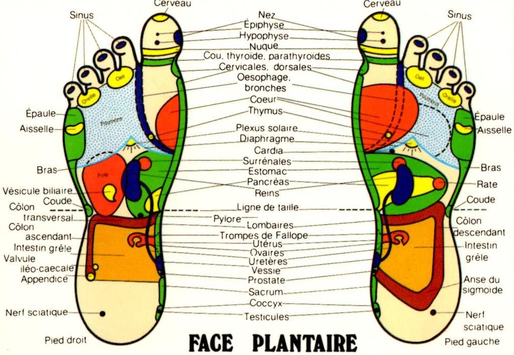 Photo d'illustration 2 sur 6