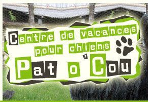 Photo d'illustration 1 sur 11