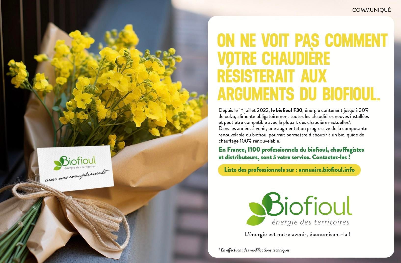 Photo d'illustration 2 sur 14
