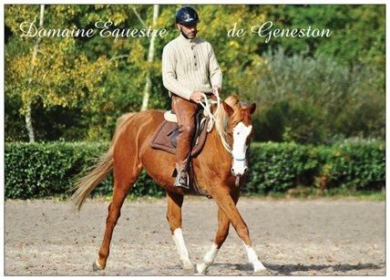 Photo d'illustration 4 sur 14