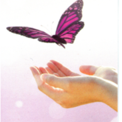 Photo d'illustration 3 sur 6